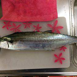 マイポイントで朝練