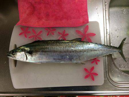 マイポイントで朝練