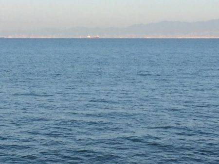 マイポイントで朝練