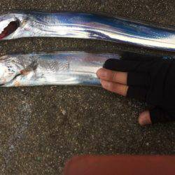 マイポイントで朝練