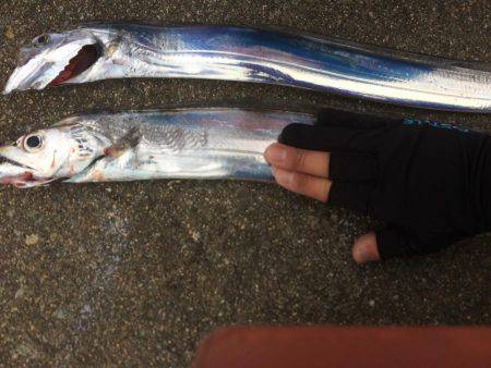 マイポイントで朝練