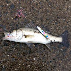 貸切状態やけど渋い