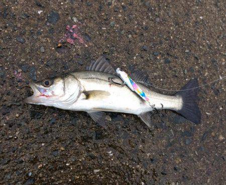 貸切状態やけど渋い