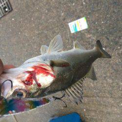 雨の中、、、、