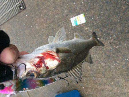 雨の中、、、、