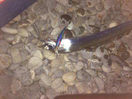 久しぶりの遠征