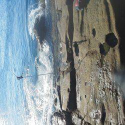 今回は良く釣れた・・アオリイカ・・・他・・・