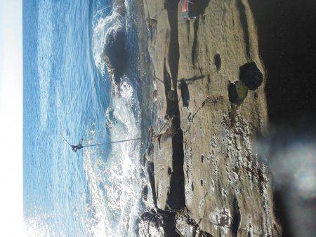 今回は良く釣れた・・アオリイカ・・・他・・・