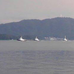 エソしか釣れへん