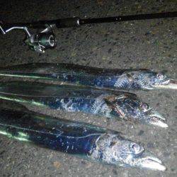 ドラゴン狩り！！