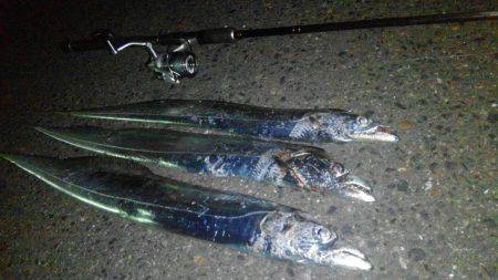 ドラゴン狩り！！