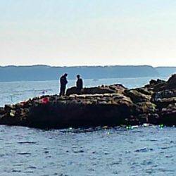 今シーズン初陣です