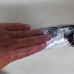 青物はどこにおるんや。。。