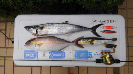 泰斗丸ジギング