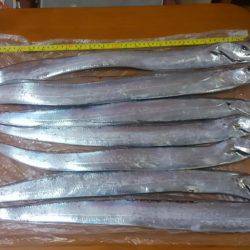 久しぶりに堪能