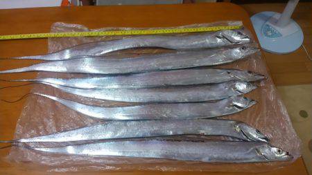 久しぶりに堪能