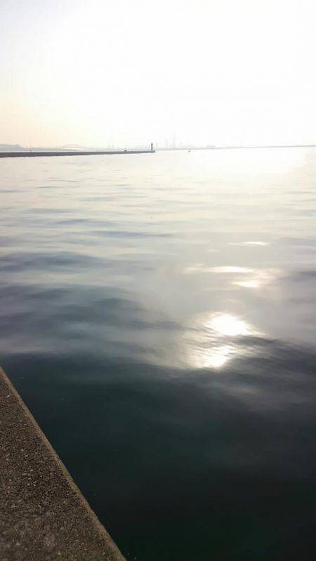 青物が釣りたい！