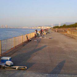 南芦屋浜でメーターオーバー