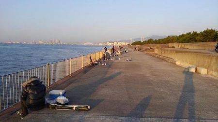 南芦屋浜でメーターオーバー