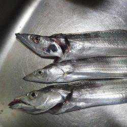 もう夜釣りは寒い！