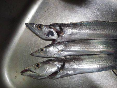 もう夜釣りは寒い！