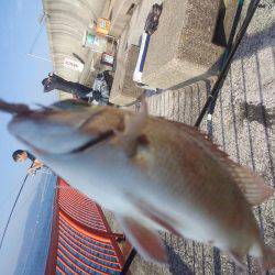 ぽかぽか陽気で