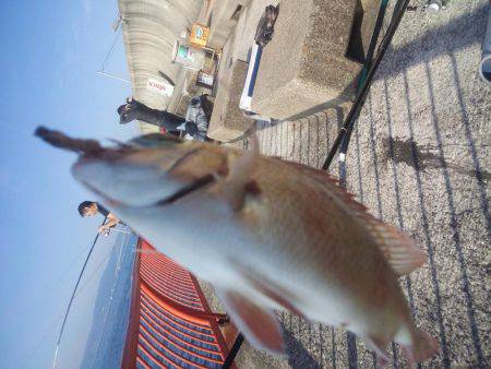 ぽかぽか陽気で