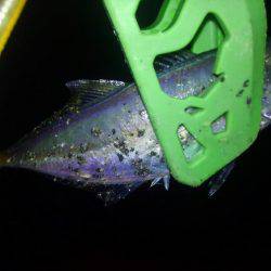 ジャンボに届かず