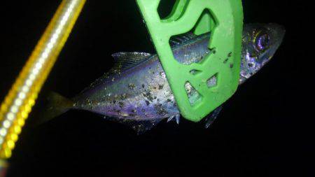 ジャンボに届かず