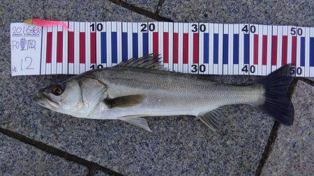 かぶと山公園にて(笑)。