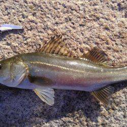 かぶと山公園にて。