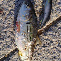 かぶと山公園にて(笑)