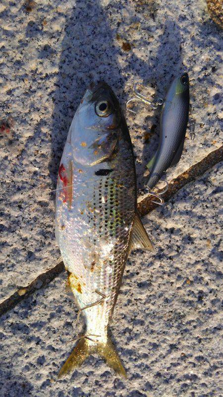 かぶと山公園にて(笑)