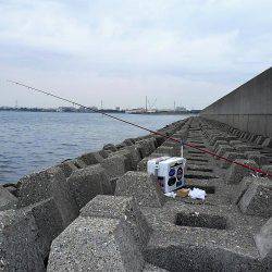 二見水道へ落ちギス調査