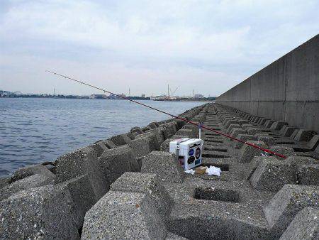 二見水道へ落ちギス調査