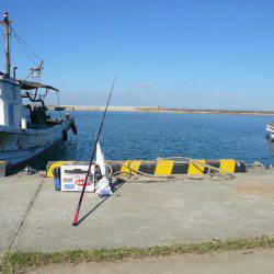 今回も富島漁港でキス狙い