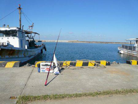今回も富島漁港でキス狙い