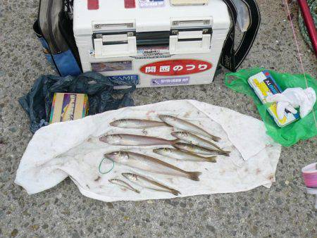 西淡落ち不発で浦港で良型キスゲット