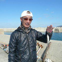 西淡の落ちは、まだか