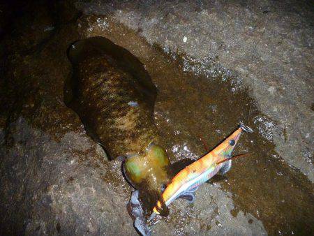 サイズが出ない