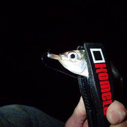 ボトムアジング！