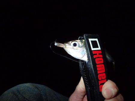 ボトムアジング！