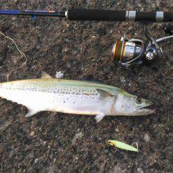 イレブンスリー