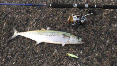 イレブンスリー