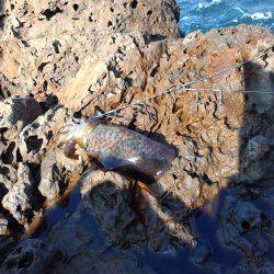 思ったより釣れない