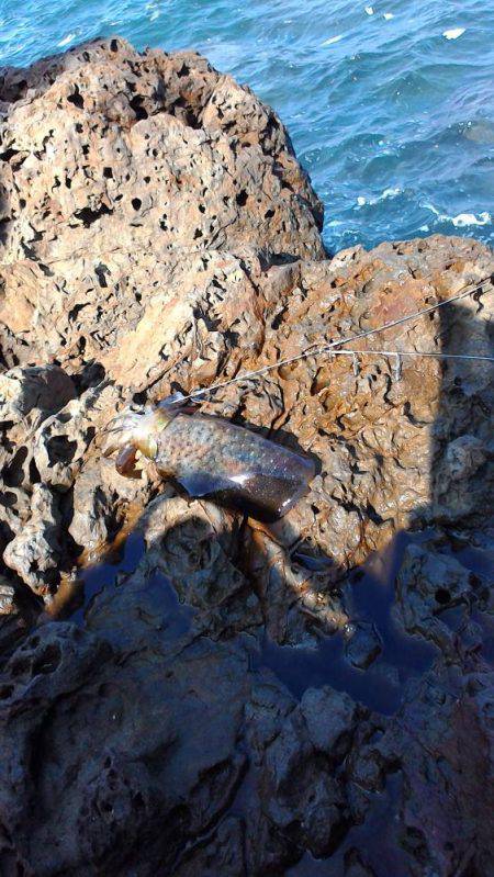 思ったより釣れない