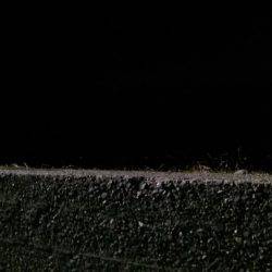 大阪で良型アジが揚がっていますが敢えて泉南方面へ釣行