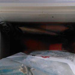 鯵はこのところの水温低下で低活性＋結構スレてきているご様子。