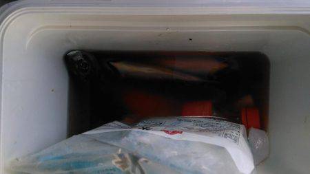 鯵はこのところの水温低下で低活性＋結構スレてきているご様子。