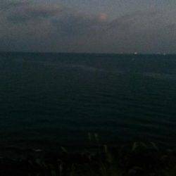 水温低下で更に低活性。